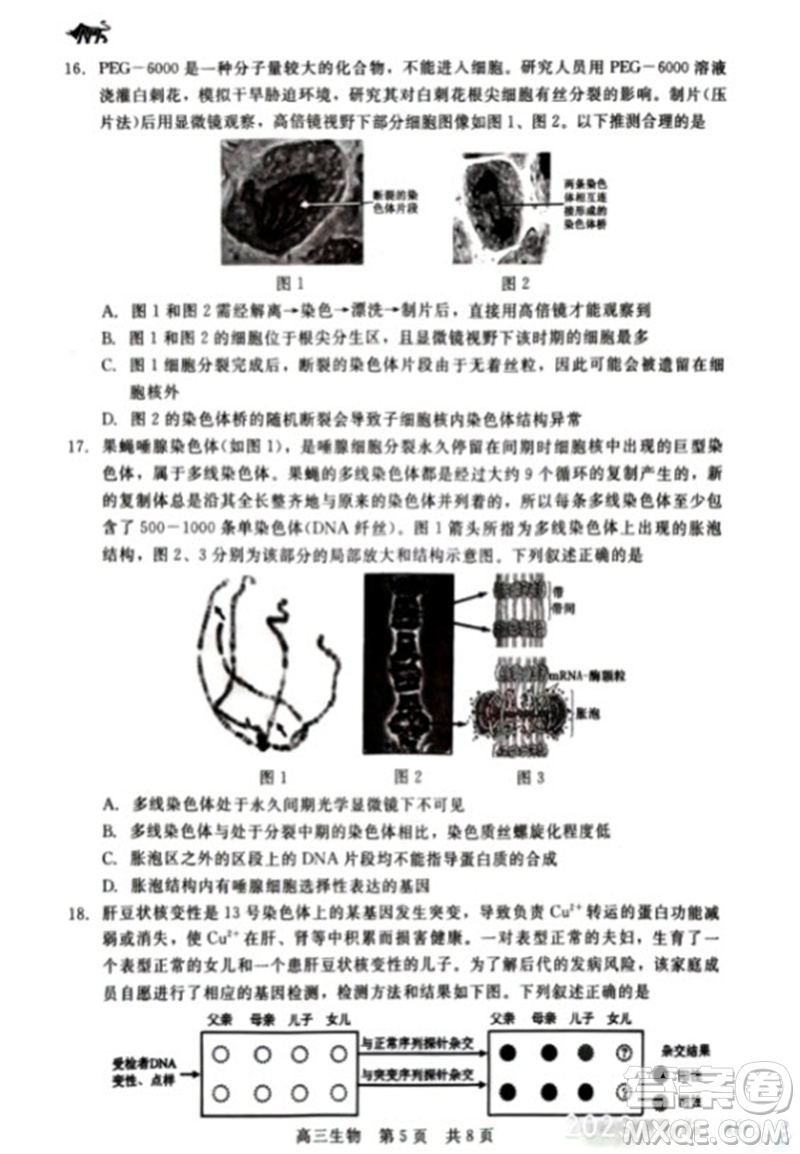 河北省新時代NT教育2024學(xué)年第一學(xué)期11月高三階段測試卷生物答案