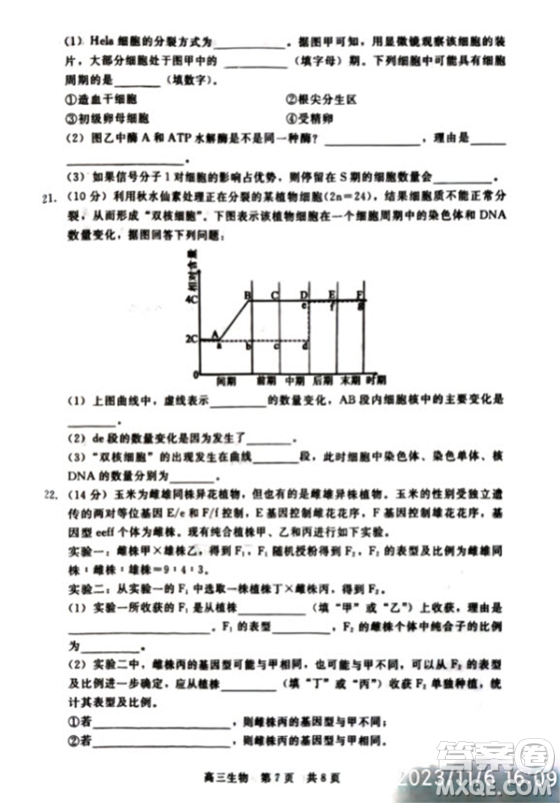 河北省新時代NT教育2024學(xué)年第一學(xué)期11月高三階段測試卷生物答案