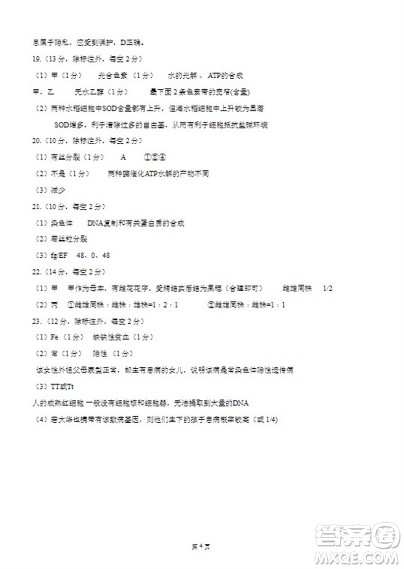 河北省新時代NT教育2024學(xué)年第一學(xué)期11月高三階段測試卷生物答案