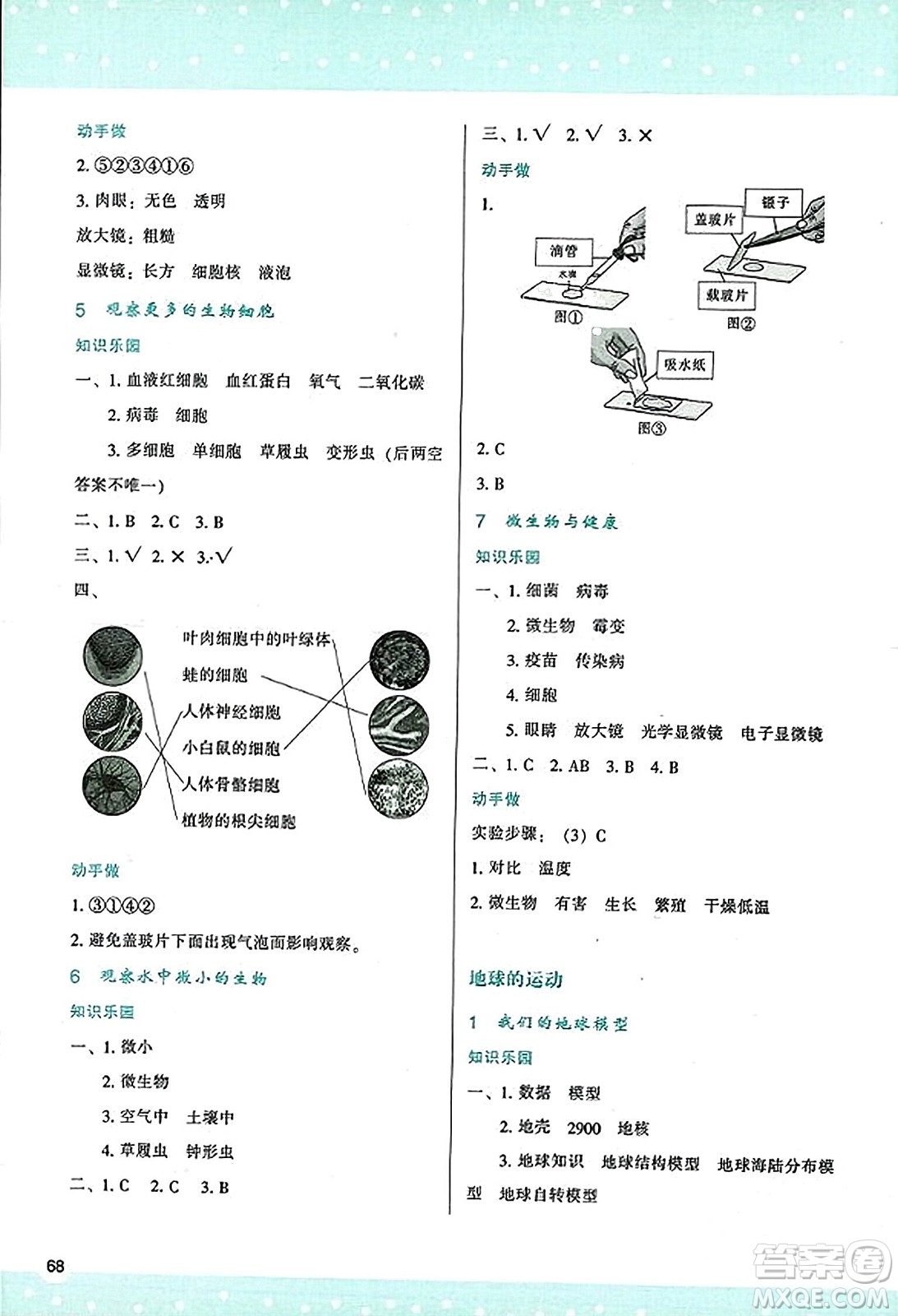 陜西人民教育出版社2023年秋學(xué)習(xí)與評價六年級科學(xué)上冊教科版答案