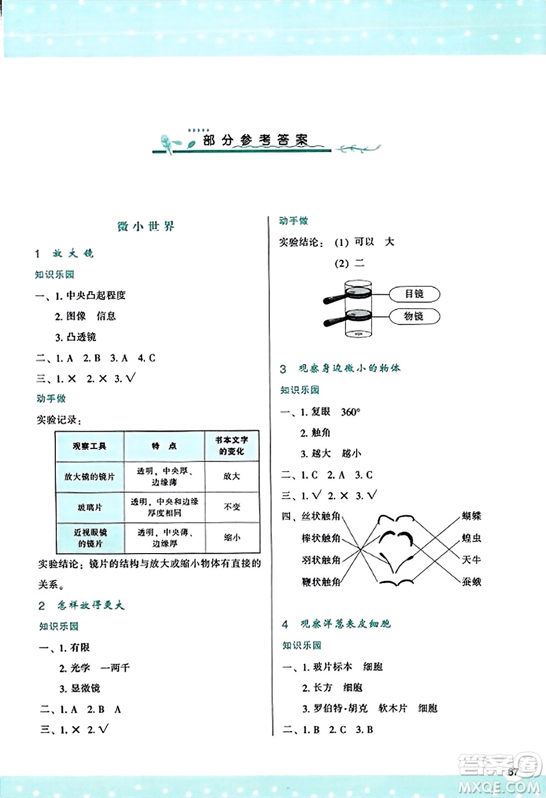 陜西人民教育出版社2023年秋學(xué)習(xí)與評價六年級科學(xué)上冊教科版答案