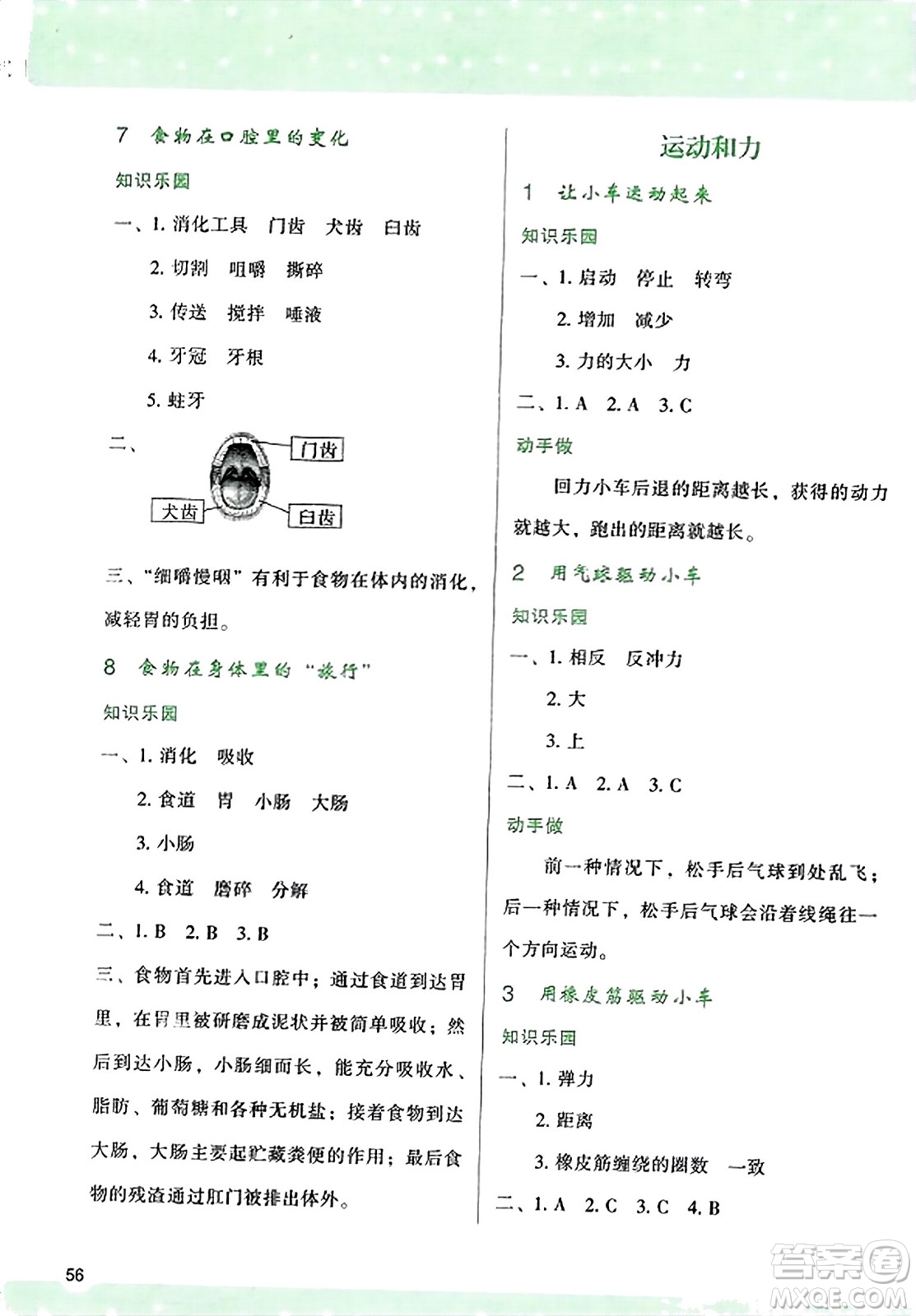 陜西人民教育出版社2023年秋學(xué)習(xí)與評(píng)價(jià)四年級(jí)科學(xué)上冊(cè)教科版答案