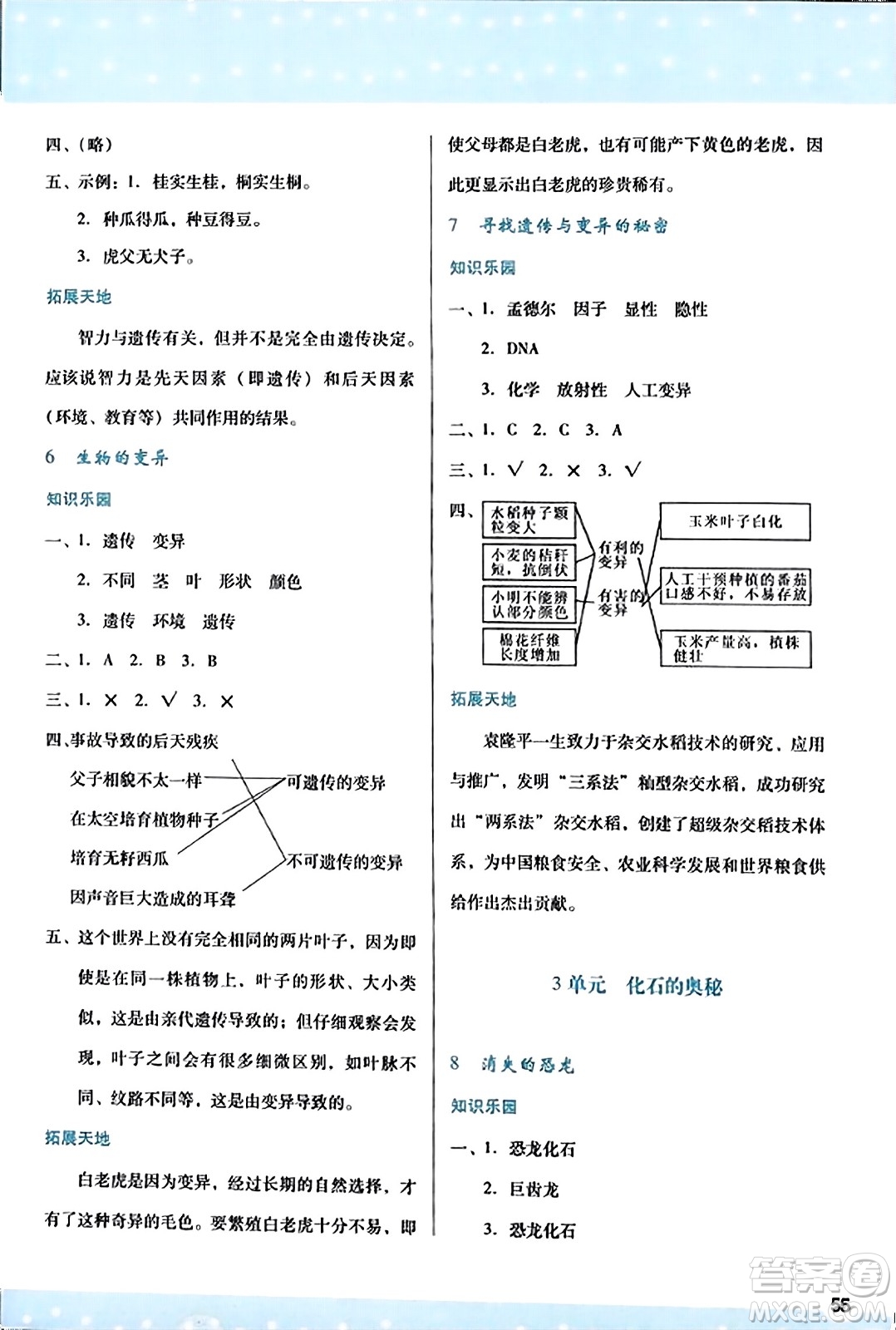 陜西人民教育出版社2023年秋學(xué)習(xí)與評價六年級科學(xué)上冊蘇教版答案