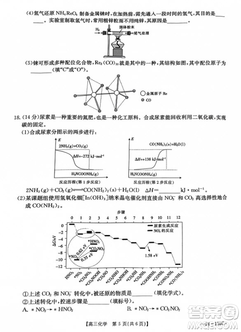 2024屆遼寧省高三年級11月金太陽聯(lián)考24-131C化學(xué)試題答案