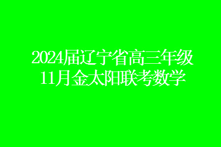 2024屆遼寧省高三年級(jí)11月金太陽聯(lián)考24-131C數(shù)學(xué)試題答案