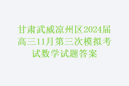 甘肅武威涼州區(qū)2024屆高三11月第三次模擬考試數(shù)學(xué)試題答案