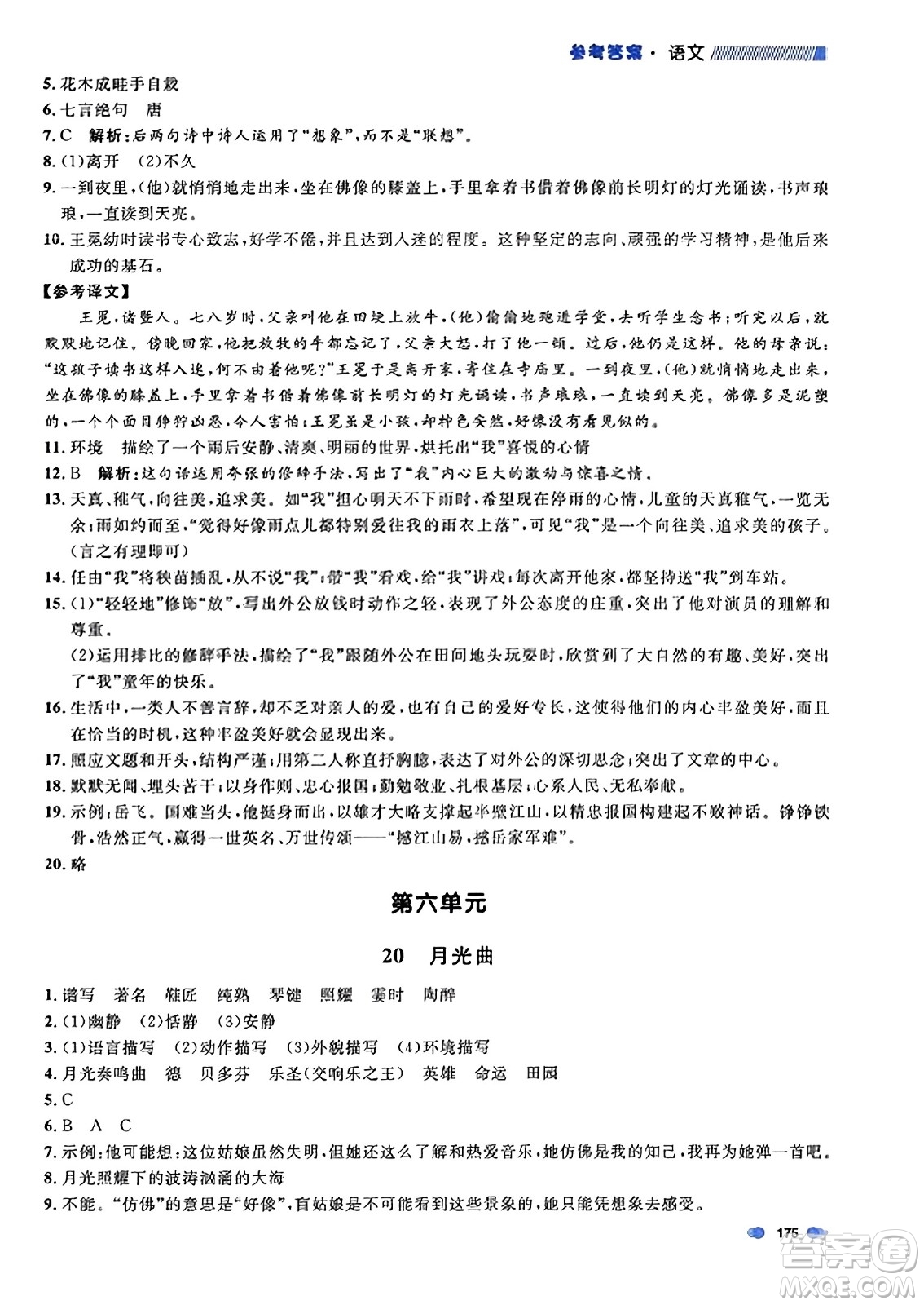 上海大學(xué)出版社2023年秋上海作業(yè)六年級(jí)語(yǔ)文上冊(cè)上海專(zhuān)版答案