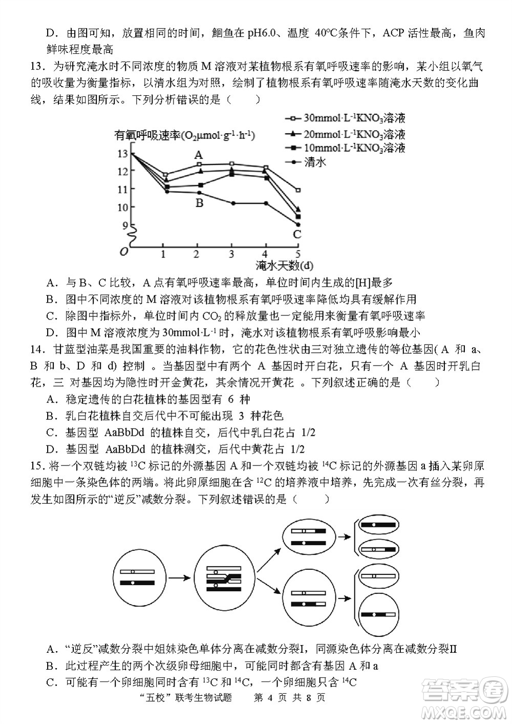 2024屆福建五校協(xié)作高三上學(xué)期11月聯(lián)考生物試題答案