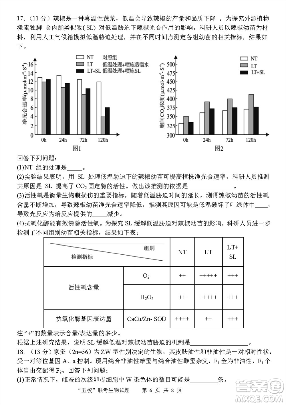 2024屆福建五校協(xié)作高三上學(xué)期11月聯(lián)考生物試題答案