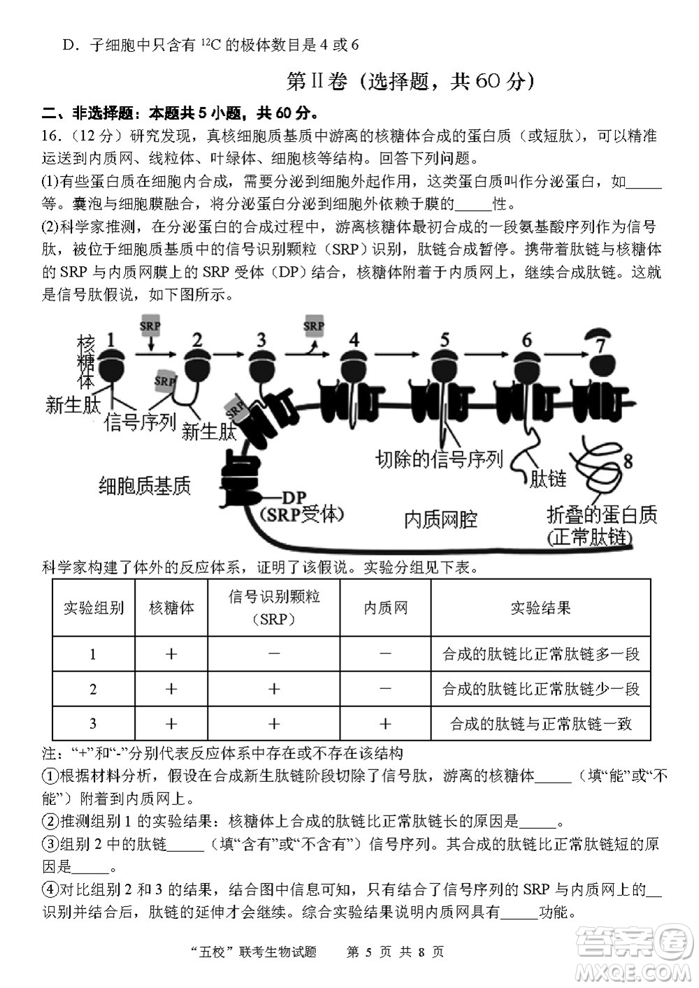 2024屆福建五校協(xié)作高三上學(xué)期11月聯(lián)考生物試題答案