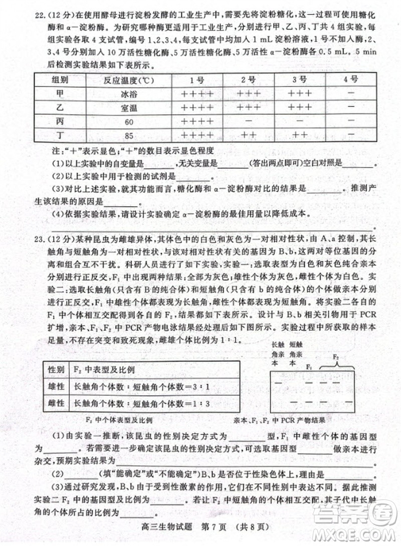 山東省名?？荚嚶?lián)盟2023-2024學(xué)年高三上學(xué)期11月期中檢測(cè)生物試題答案