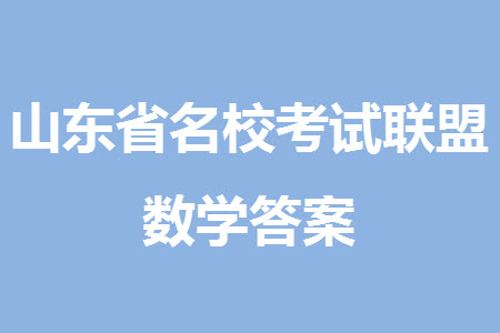 山東省名?？荚嚶?lián)盟2023-2024學(xué)年高三上學(xué)期11月期中檢測(cè)數(shù)學(xué)試題答案