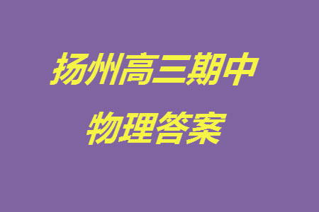 揚(yáng)州市2023-2024學(xué)年高三上學(xué)期期中檢測(cè)試題物理答案