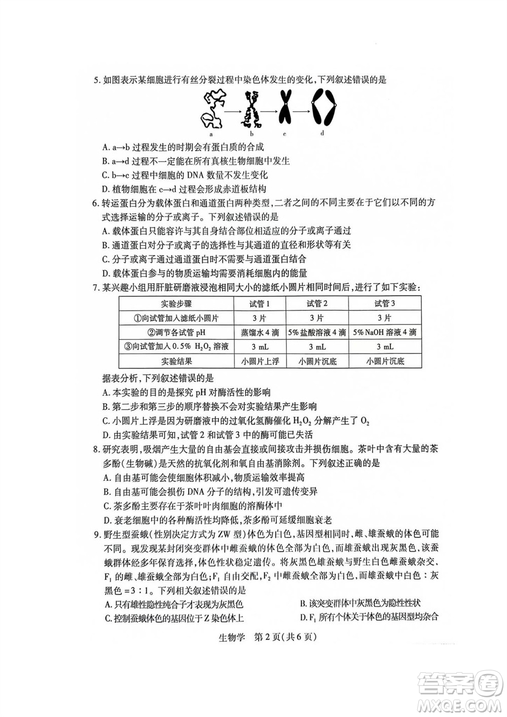 江西省穩(wěn)派2024屆高三11月一輪總復習調(diào)研測試生物試題答案