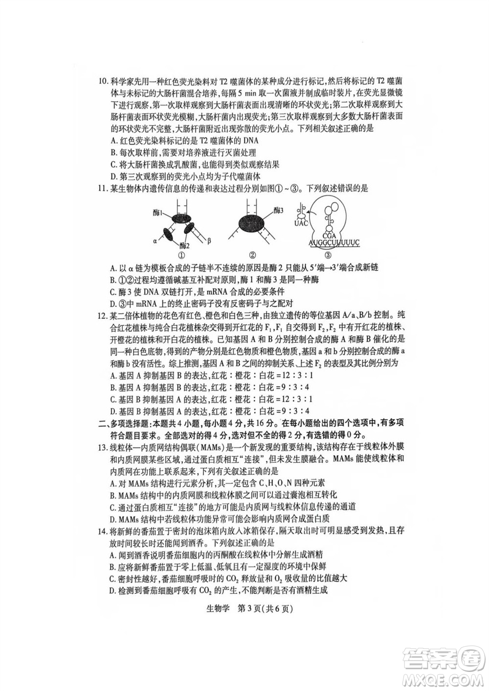 江西省穩(wěn)派2024屆高三11月一輪總復習調(diào)研測試生物試題答案