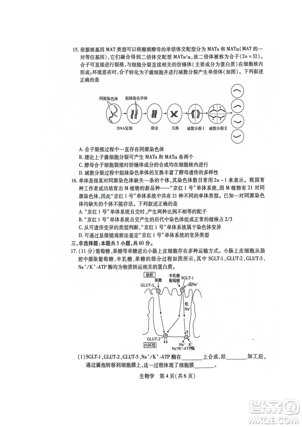 江西省穩(wěn)派2024屆高三11月一輪總復習調(diào)研測試生物試題答案