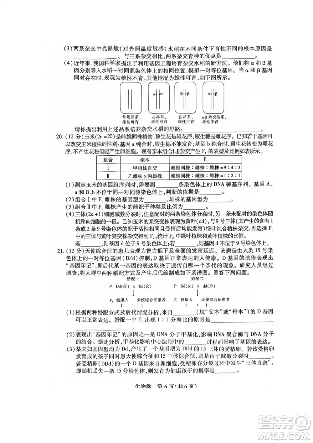 江西省穩(wěn)派2024屆高三11月一輪總復習調(diào)研測試生物試題答案