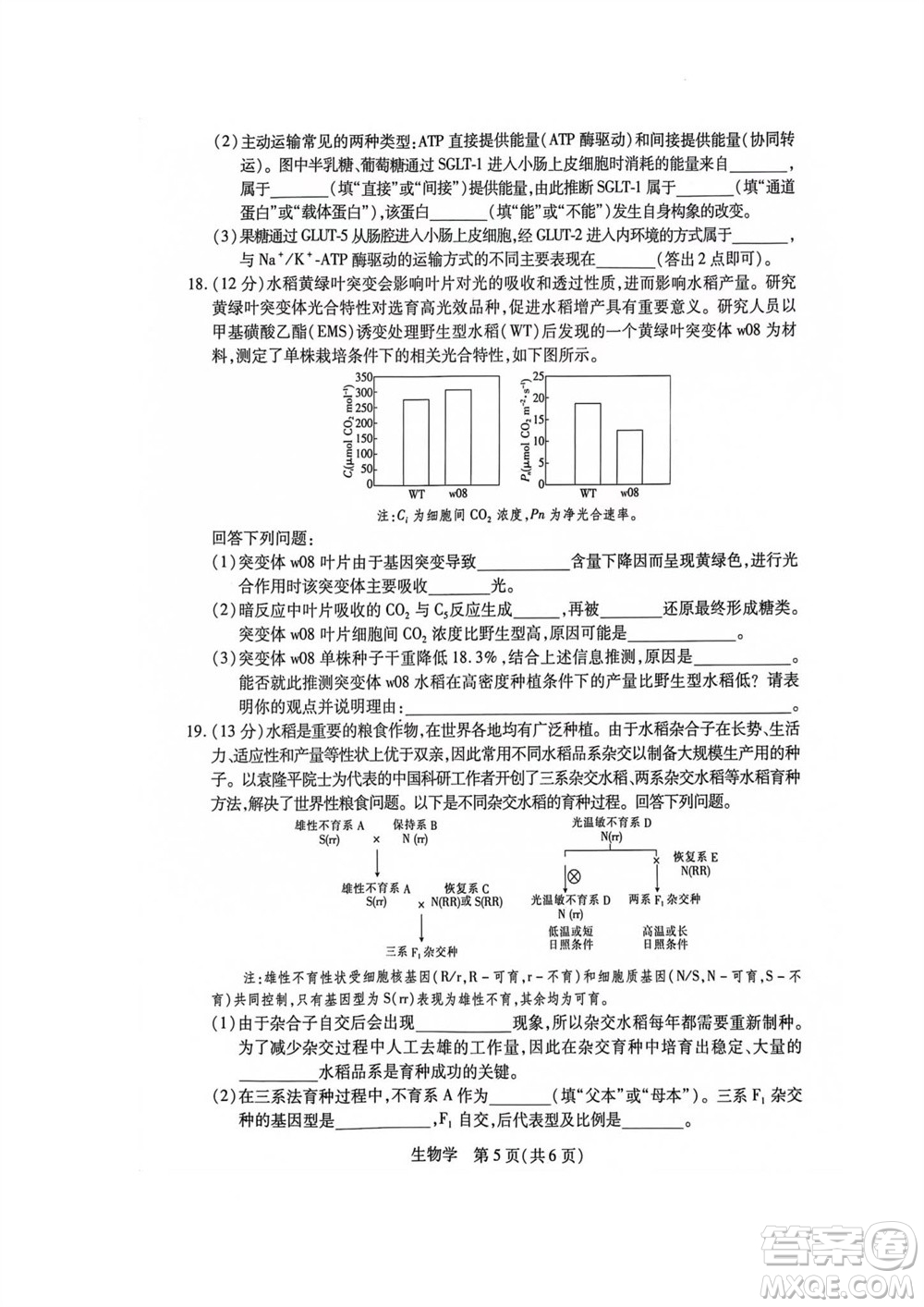 江西省穩(wěn)派2024屆高三11月一輪總復習調(diào)研測試生物試題答案