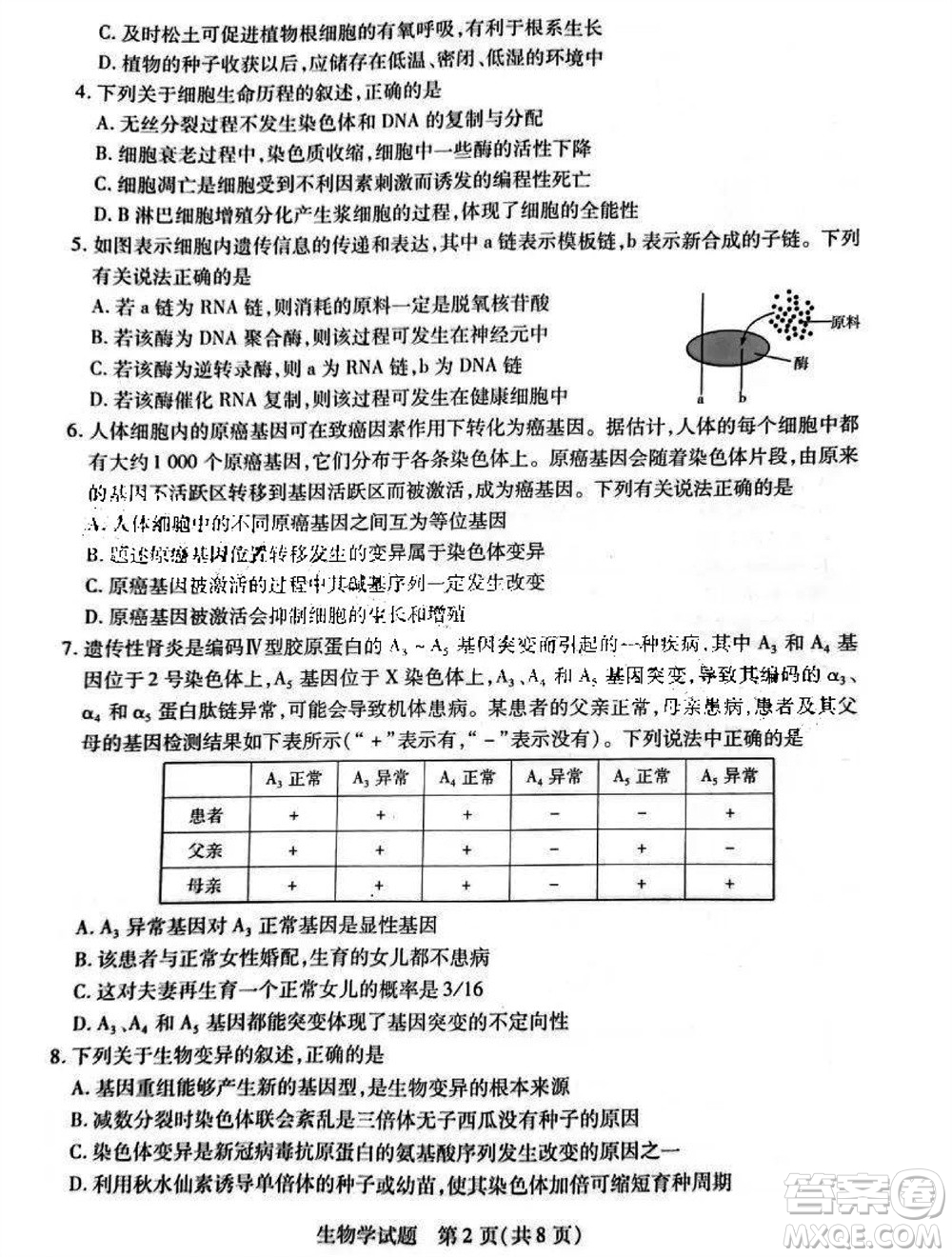 河南省天一大聯(lián)考2023-2024學(xué)年高三上學(xué)期11月階段性測試三生物試題答案