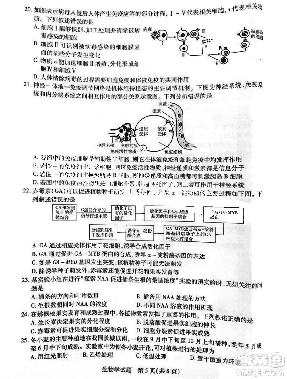 河南省天一大聯(lián)考2023-2024學(xué)年高三上學(xué)期11月階段性測試三生物試題答案