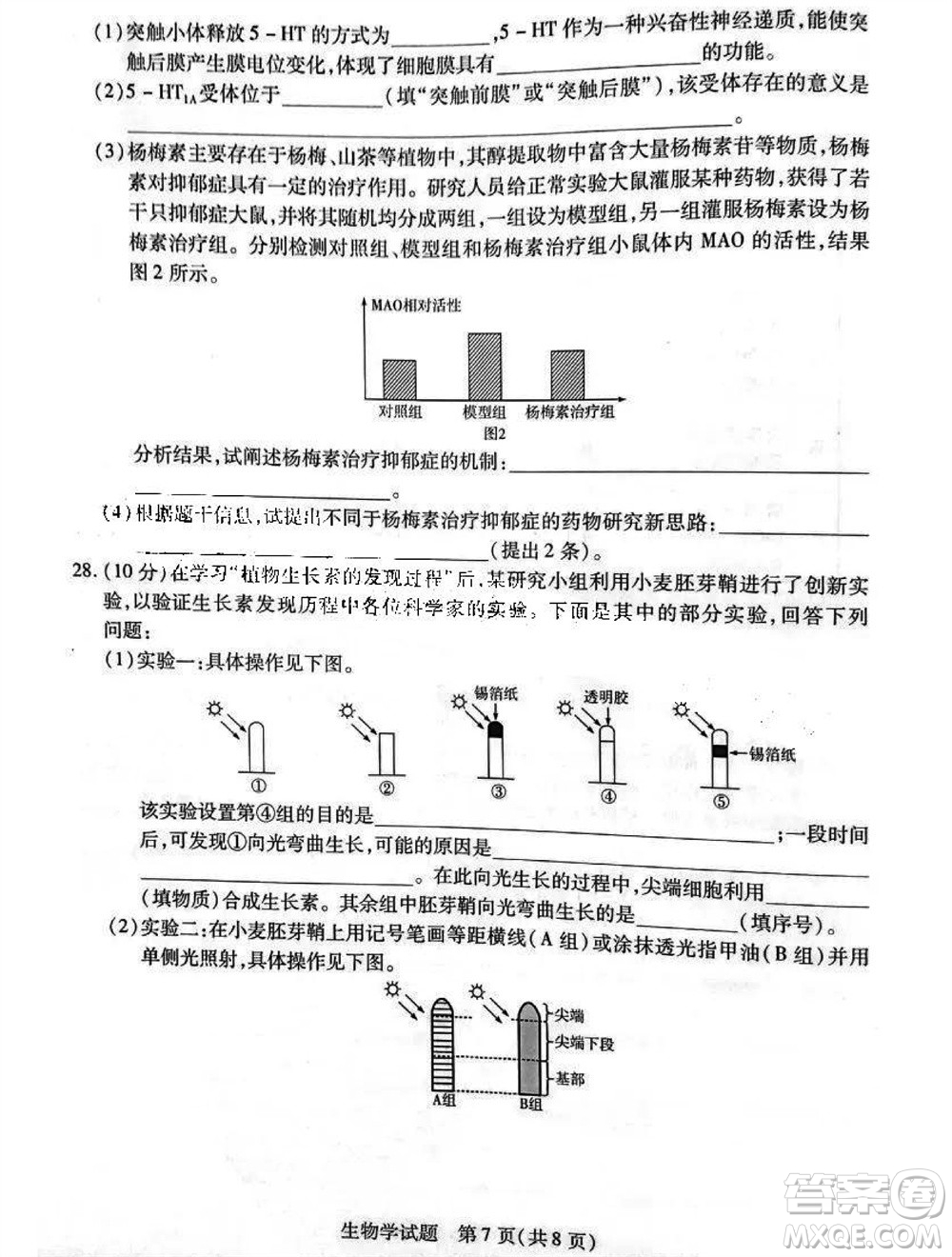 河南省天一大聯(lián)考2023-2024學(xué)年高三上學(xué)期11月階段性測試三生物試題答案