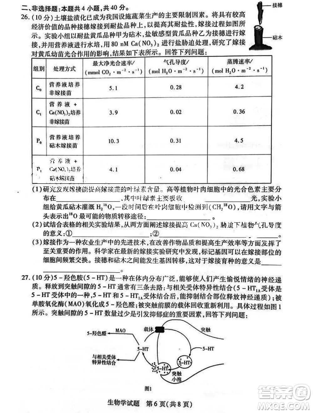 河南省天一大聯(lián)考2023-2024學(xué)年高三上學(xué)期11月階段性測試三生物試題答案