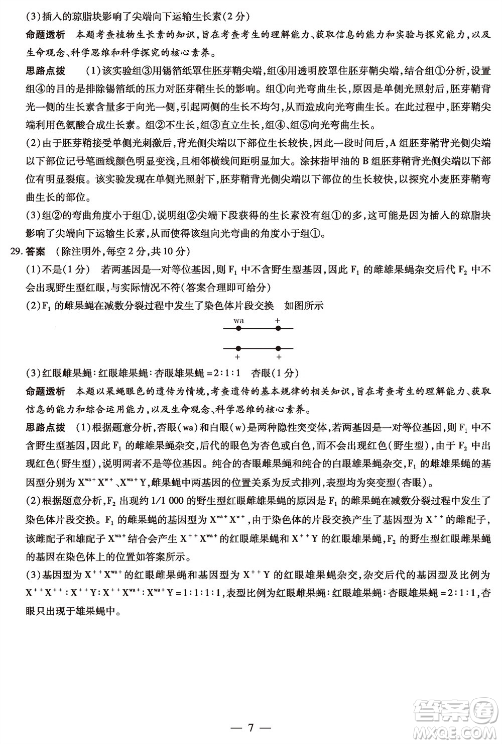 河南省天一大聯(lián)考2023-2024學(xué)年高三上學(xué)期11月階段性測試三生物試題答案