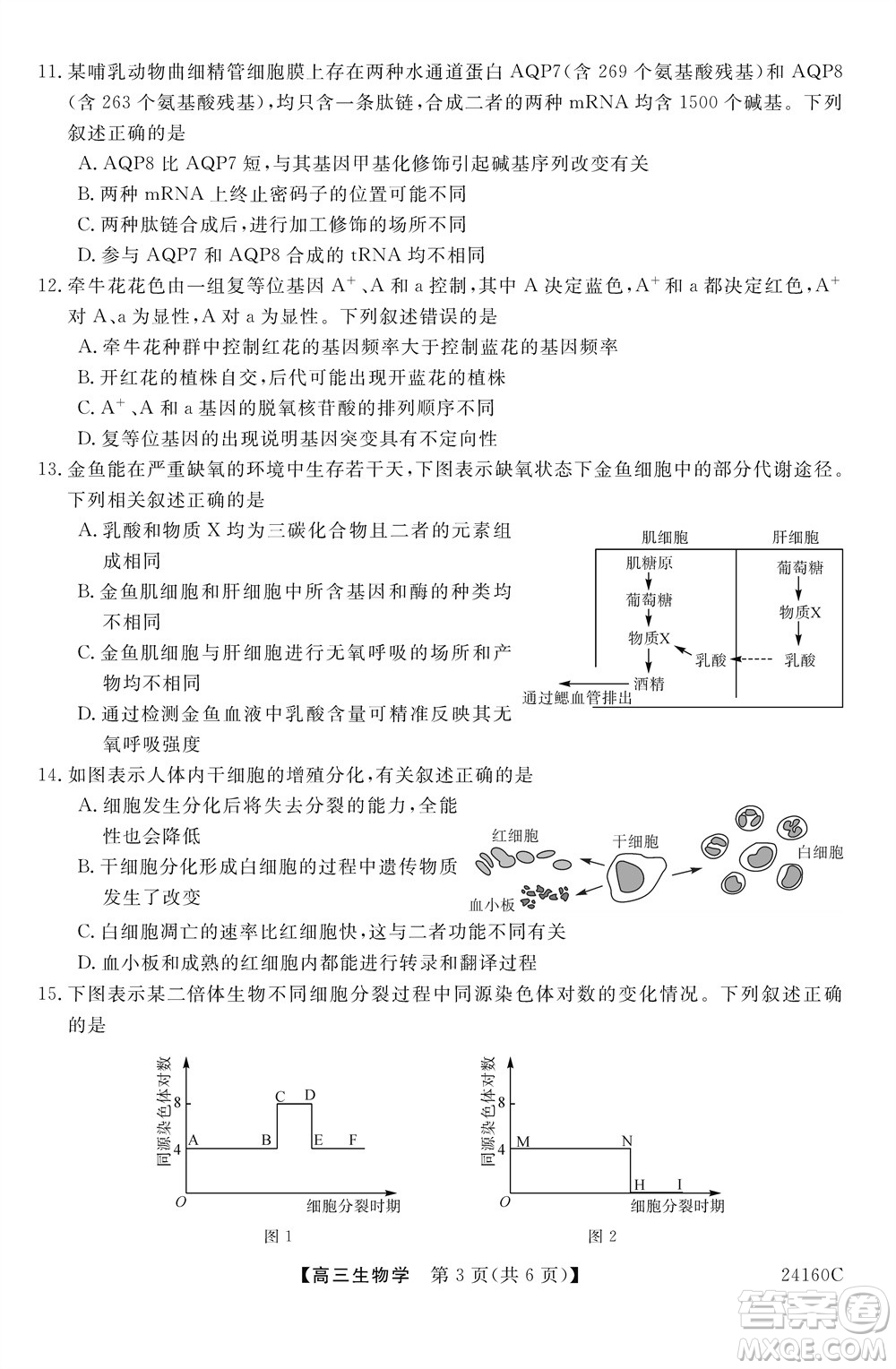 福州市2024屆閩江口協(xié)作體高三上學(xué)期11月期中聯(lián)考生物試題答案