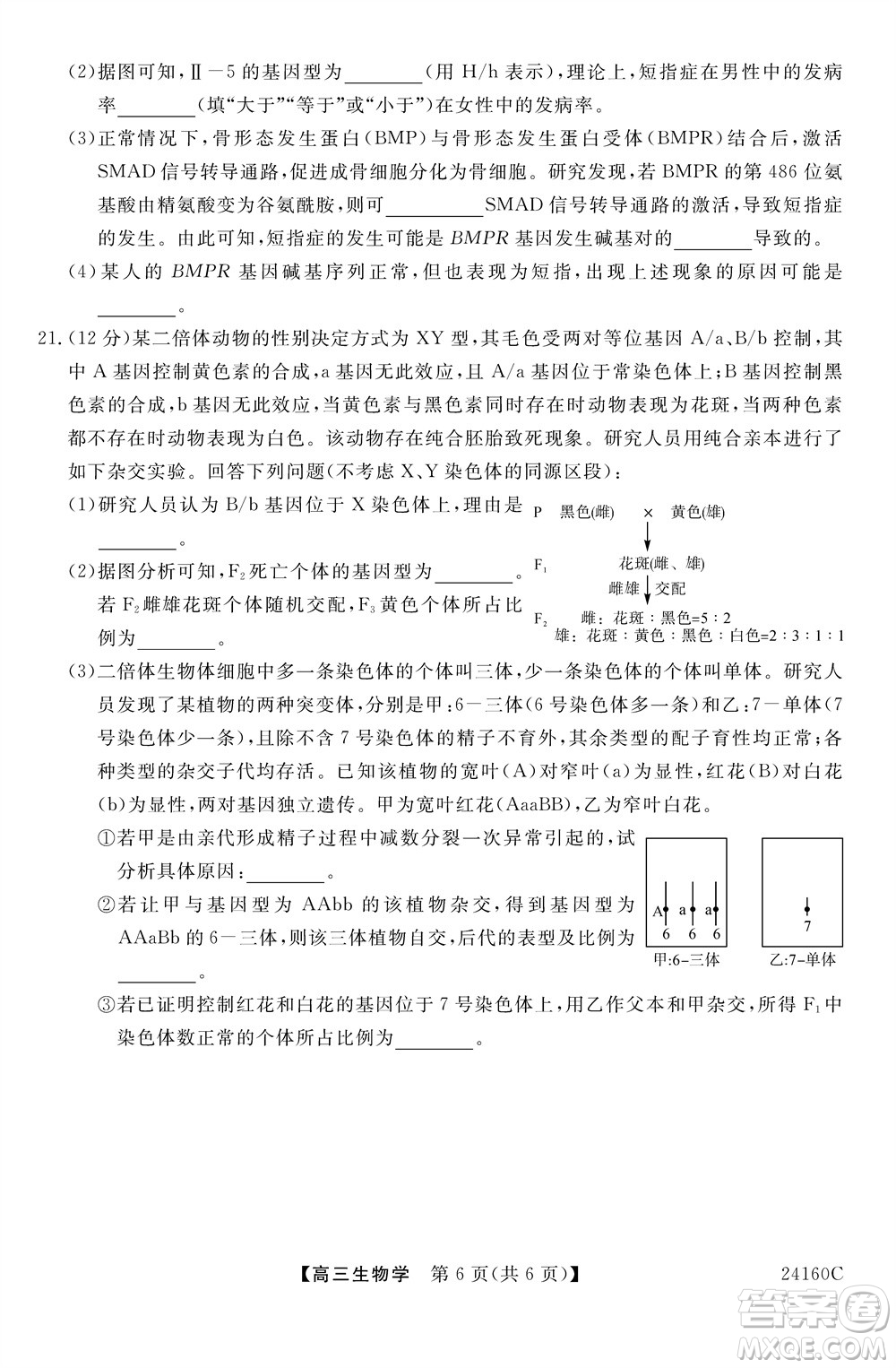 福州市2024屆閩江口協(xié)作體高三上學(xué)期11月期中聯(lián)考生物試題答案