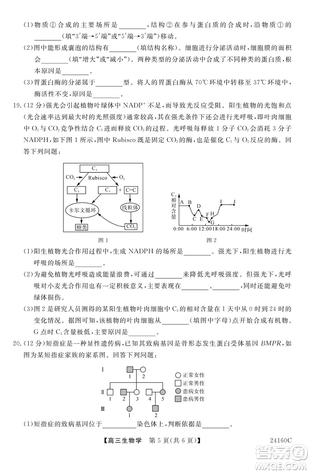 福州市2024屆閩江口協(xié)作體高三上學(xué)期11月期中聯(lián)考生物試題答案