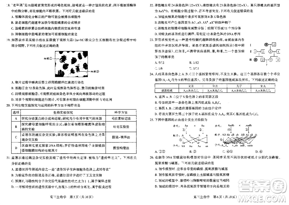 太原市2023-2024學(xué)年高三上學(xué)期期中學(xué)業(yè)診斷生物試題答案