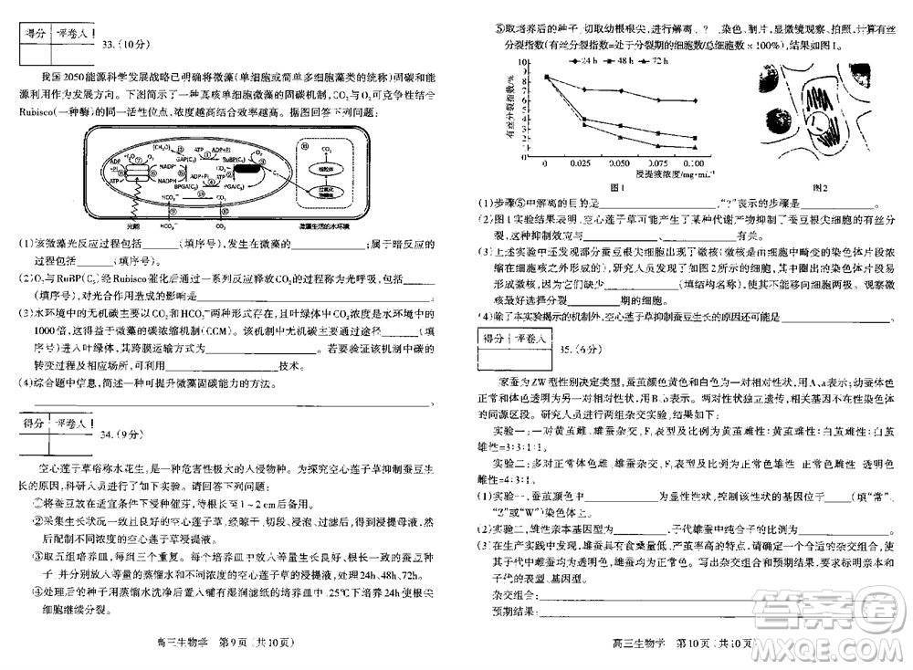 太原市2023-2024學(xué)年高三上學(xué)期期中學(xué)業(yè)診斷生物試題答案