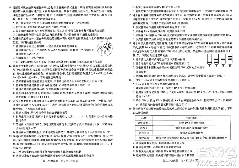 運城市2023-2024學(xué)年高三第一學(xué)期期中調(diào)研測試生物試題答案