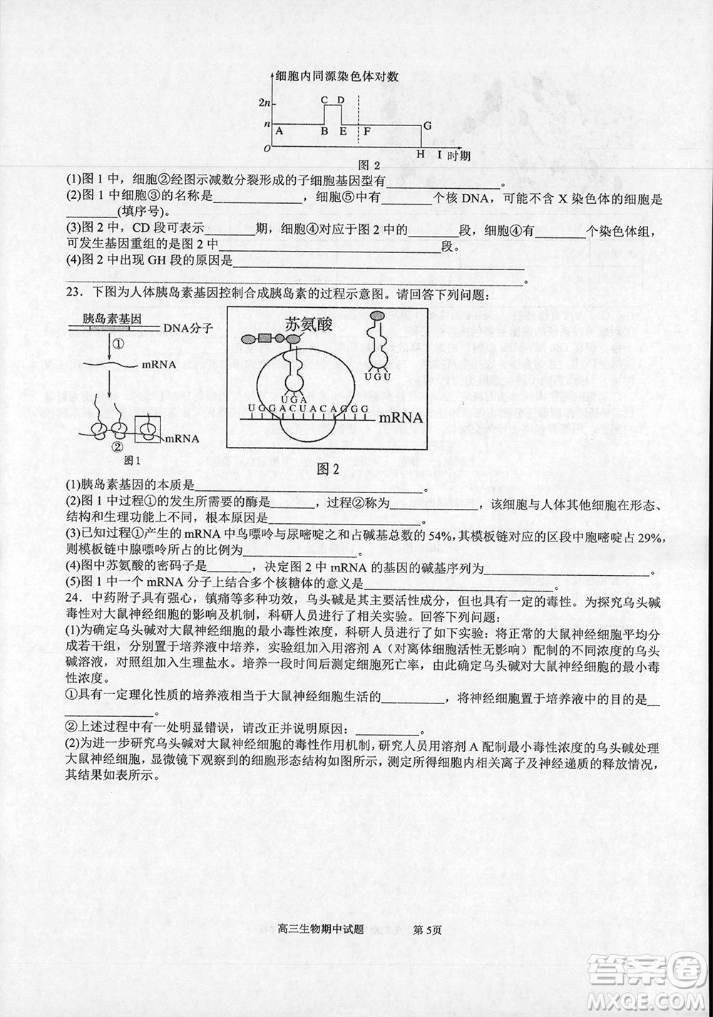 遼寧省2023-2024學(xué)年上學(xué)期遼西聯(lián)合校高三11月期中考試生物答案