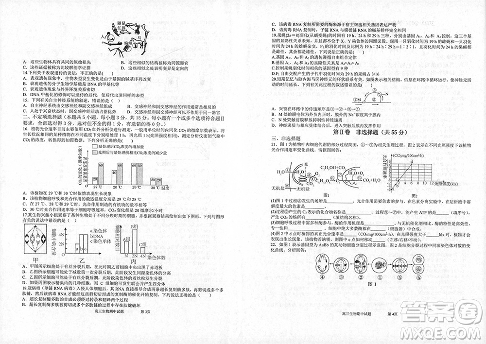 遼寧省2023-2024學(xué)年上學(xué)期遼西聯(lián)合校高三11月期中考試生物答案