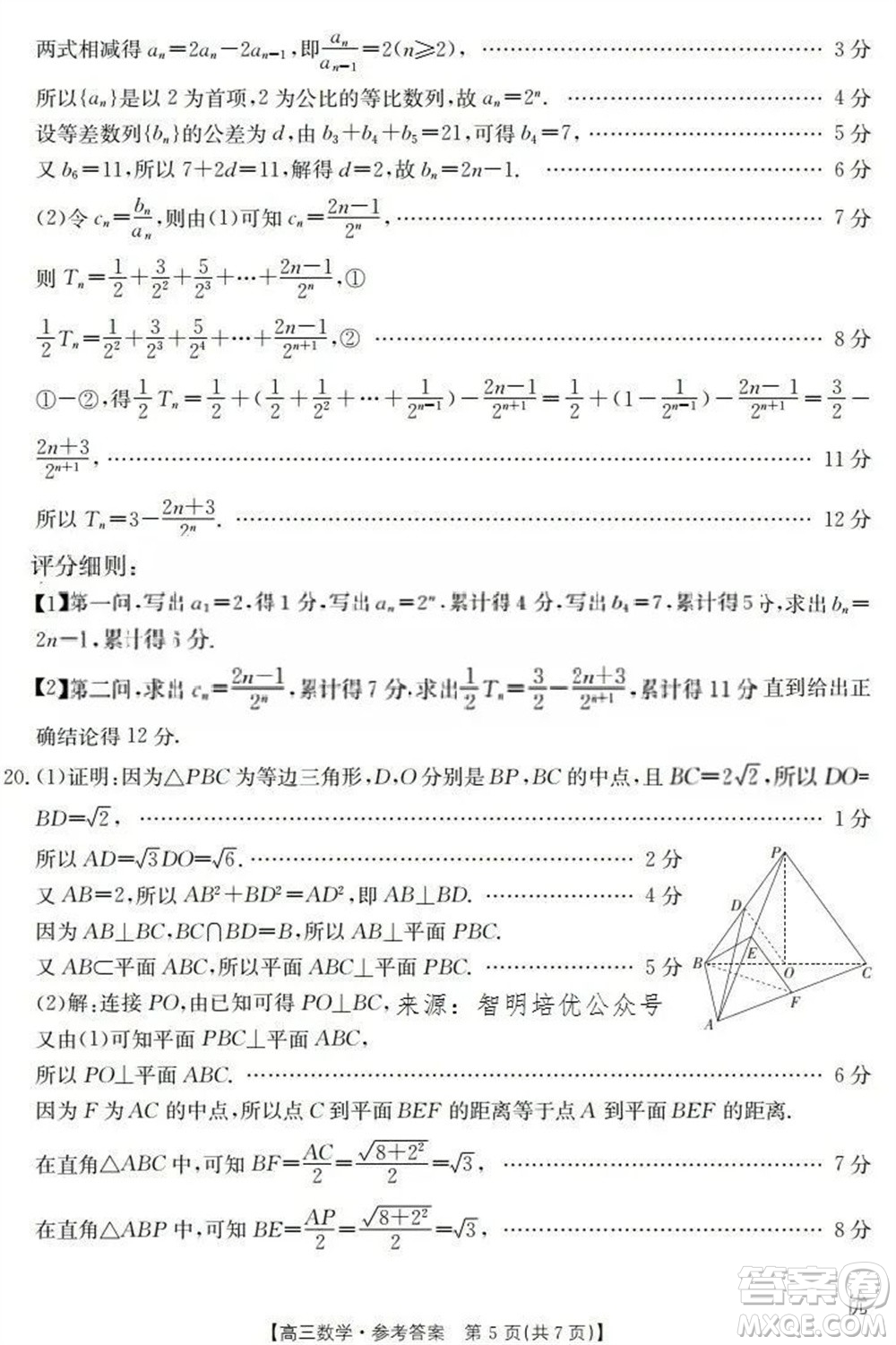 2024屆遼寧金太陽(yáng)高三上學(xué)期11月16號(hào)聯(lián)考數(shù)學(xué)試題答案