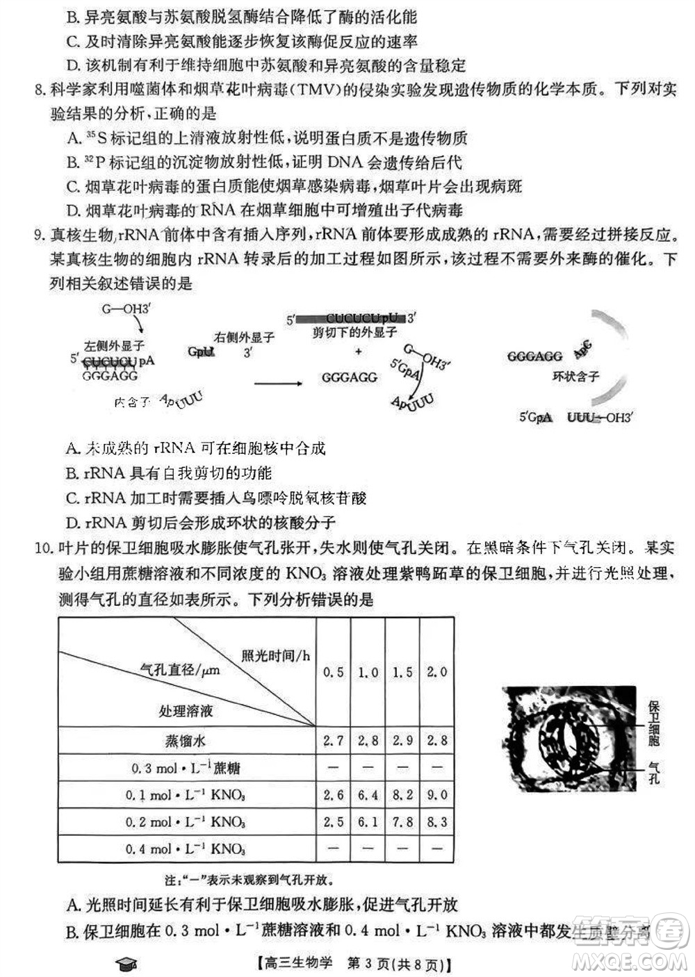 2024屆福建金太陽(yáng)高三上學(xué)期11月16號(hào)聯(lián)考生物參考答案