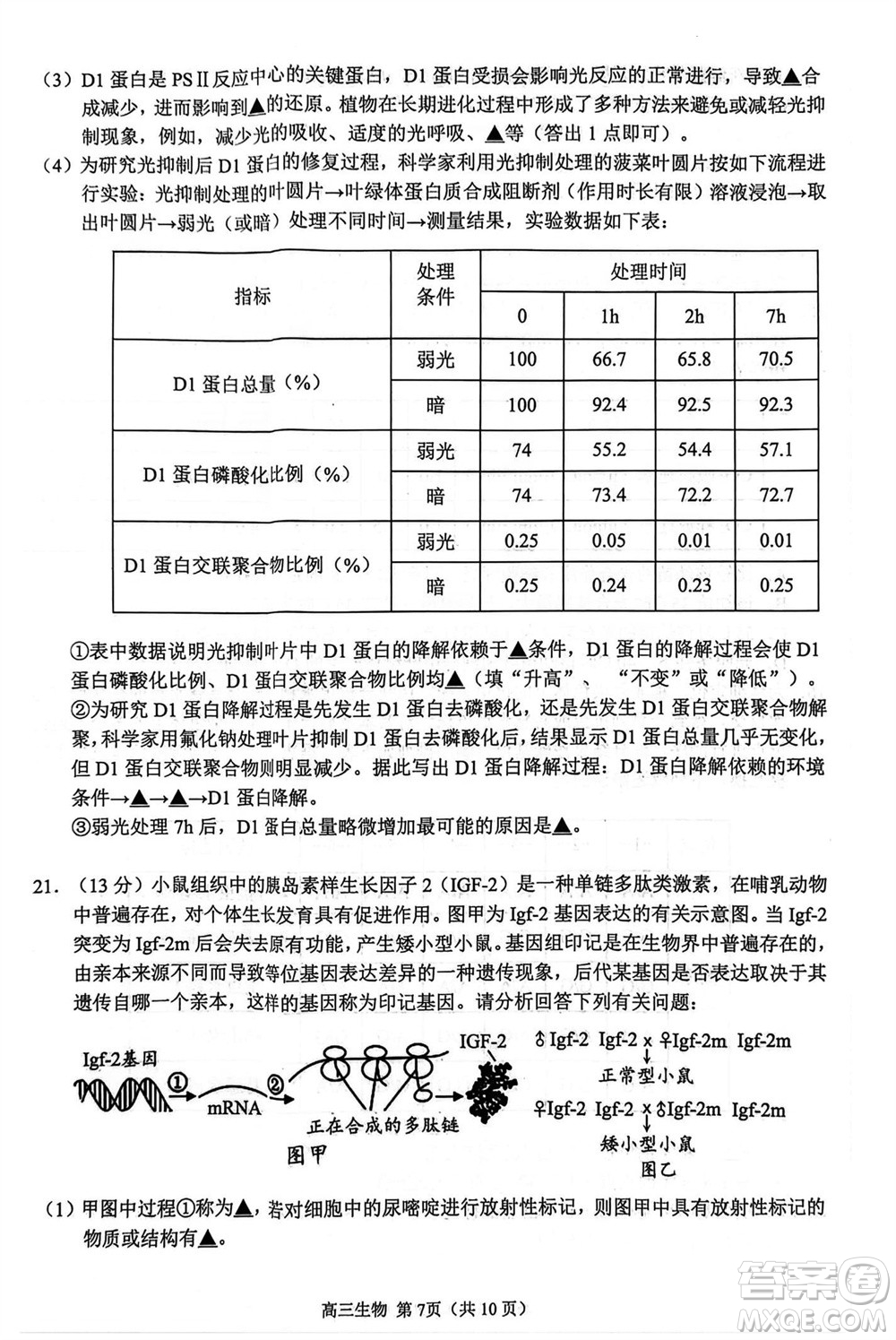 揚(yáng)州市2023-2024學(xué)年高三上學(xué)期期中檢測試題生物答案