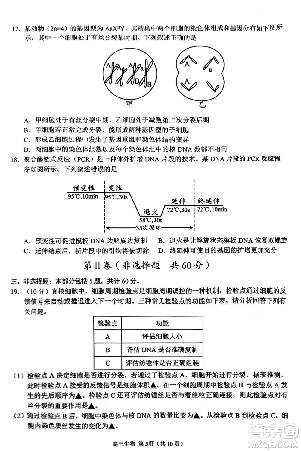 揚(yáng)州市2023-2024學(xué)年高三上學(xué)期期中檢測試題生物答案