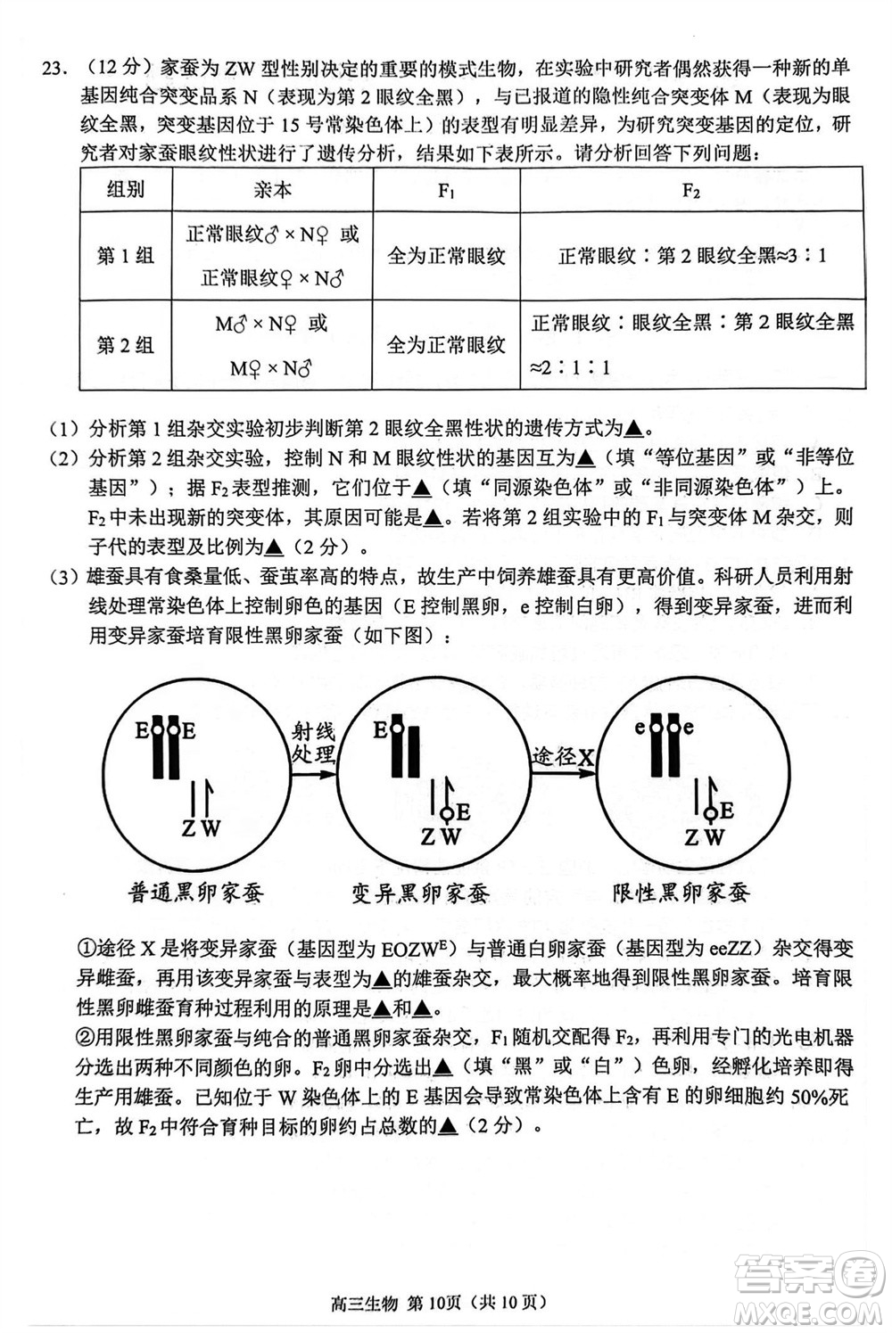 揚(yáng)州市2023-2024學(xué)年高三上學(xué)期期中檢測試題生物答案