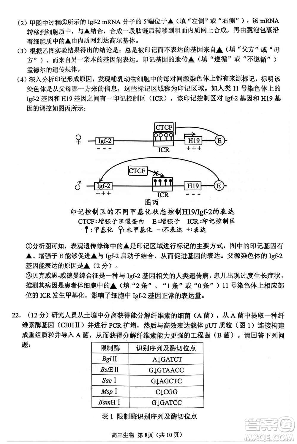 揚(yáng)州市2023-2024學(xué)年高三上學(xué)期期中檢測試題生物答案