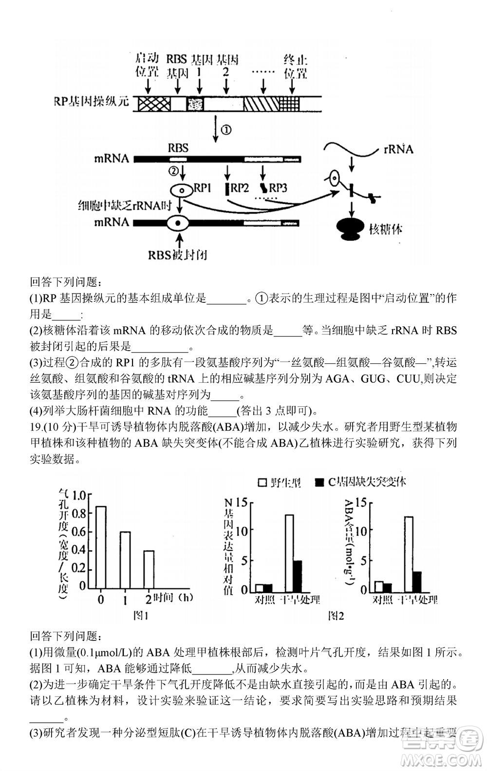 貴陽(yáng)市2023年普通高中高三年級(jí)上學(xué)期11月質(zhì)量監(jiān)測(cè)試卷生物答案