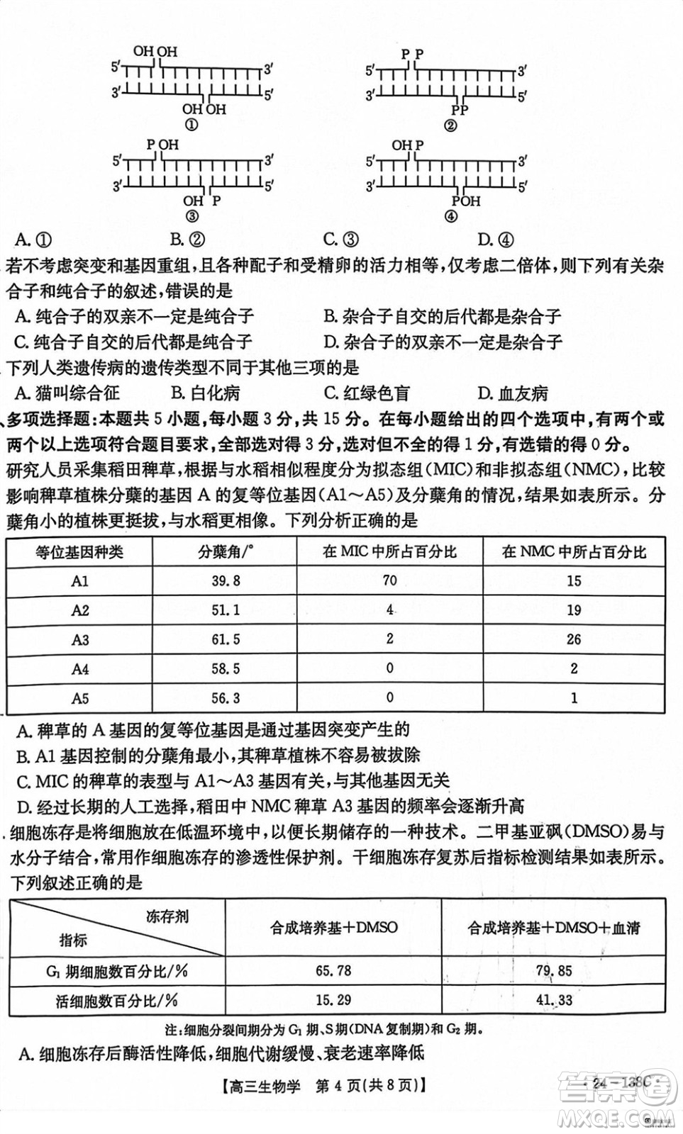 河北滄衡八校聯(lián)盟2024屆高三上學(xué)期期中考試金太陽138C生物試題答案