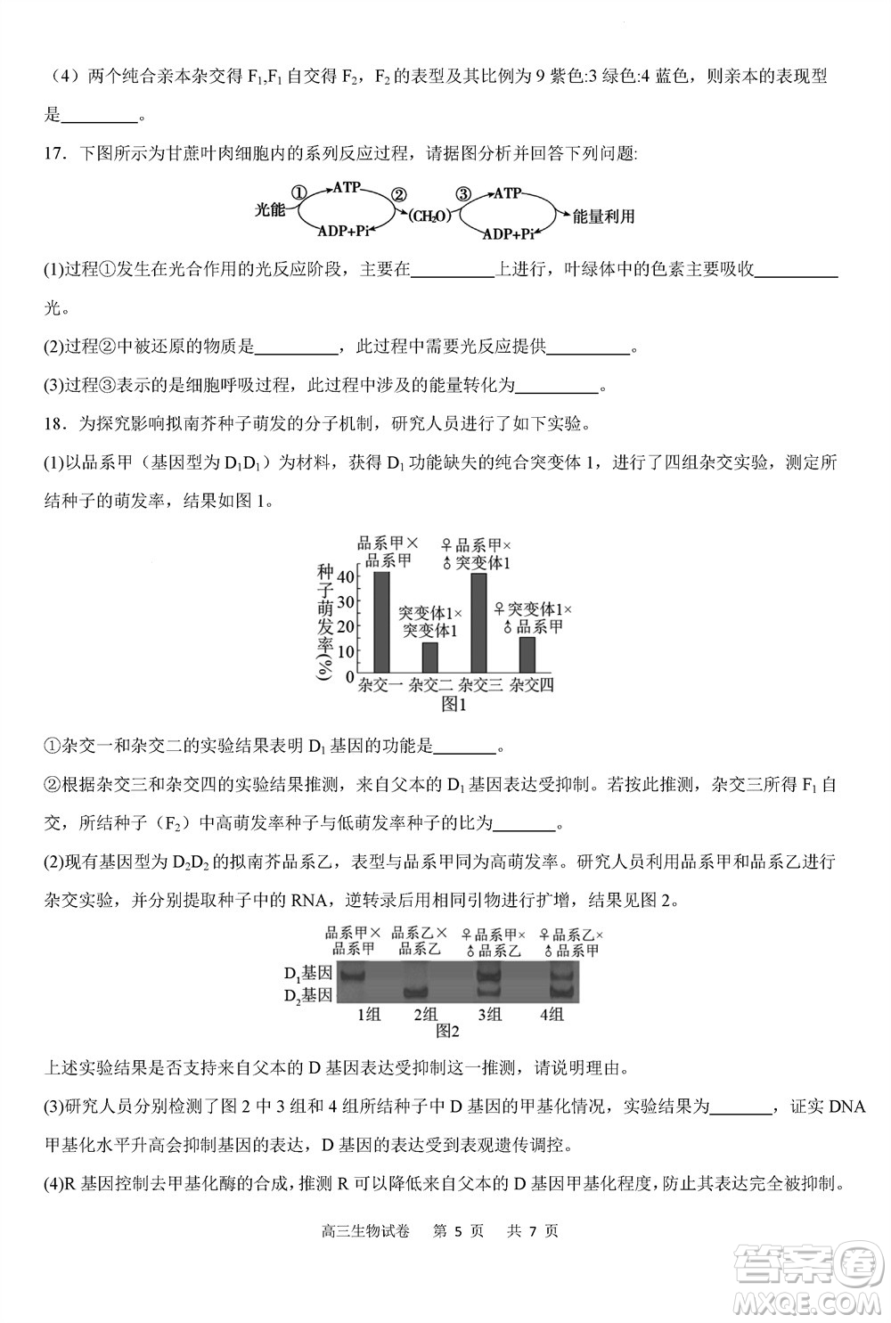 重慶市縉云教育聯(lián)盟2023-2024學(xué)年高三上學(xué)期11月質(zhì)量檢測生物答案