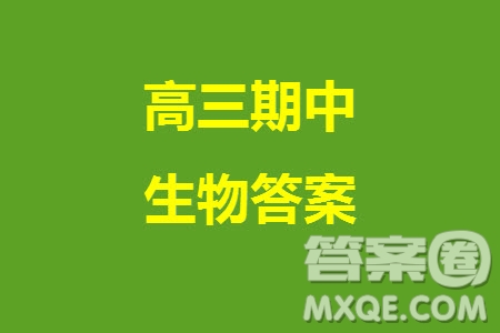 福建龍巖名校2023-2024學(xué)年高三上學(xué)期11月期中考試試題生物答案