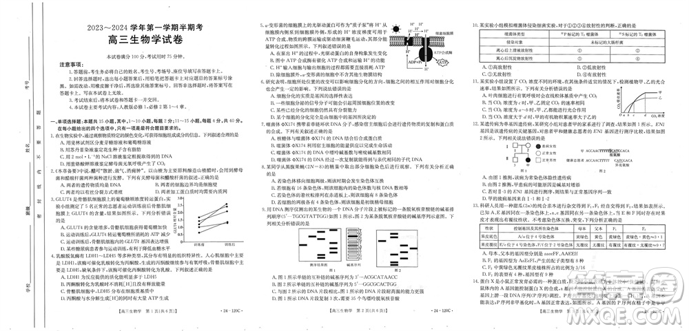 福建龍巖名校2023-2024學(xué)年高三上學(xué)期11月期中考試試題生物答案