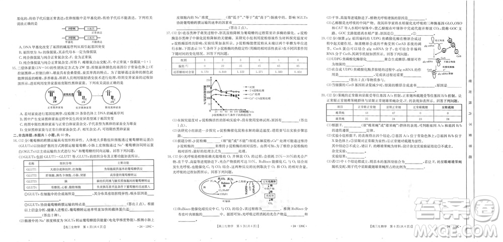 福建龍巖名校2023-2024學(xué)年高三上學(xué)期11月期中考試試題生物答案