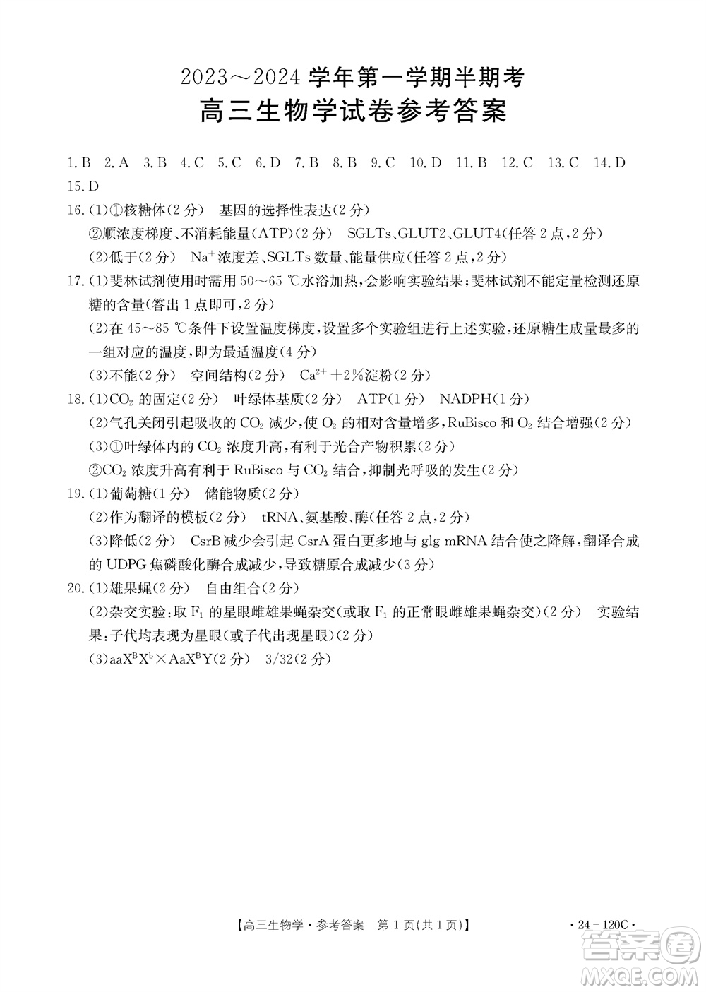 福建龍巖名校2023-2024學(xué)年高三上學(xué)期11月期中考試試題生物答案