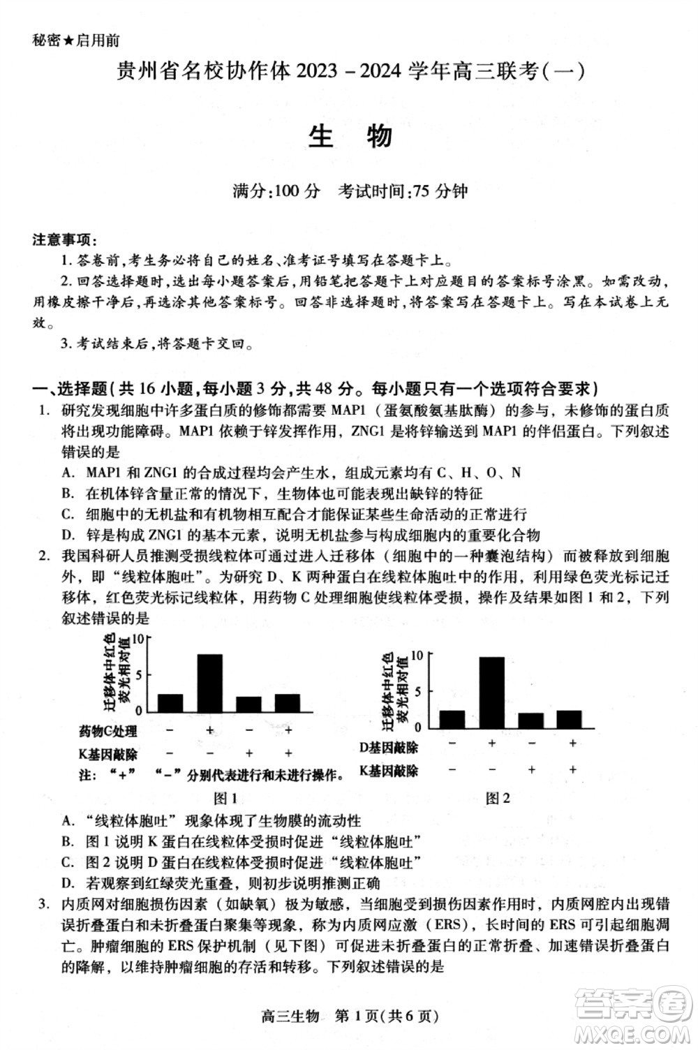 貴州名校協(xié)作體2023-2024學(xué)年高三上學(xué)期11月聯(lián)考一生物參考答案