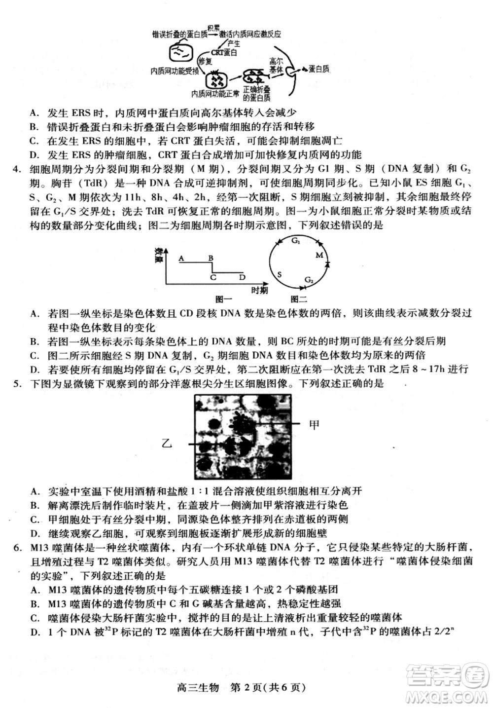 貴州名校協(xié)作體2023-2024學(xué)年高三上學(xué)期11月聯(lián)考一生物參考答案